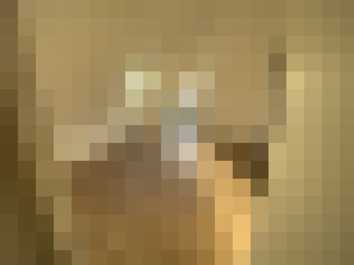  / #6
