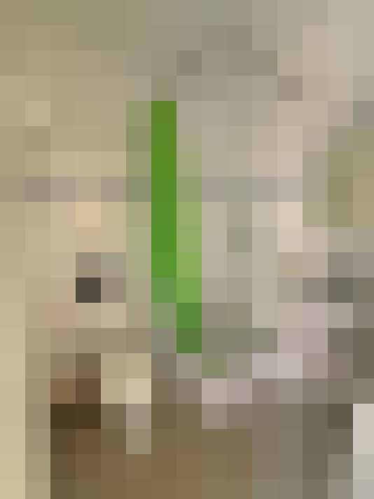  / #5