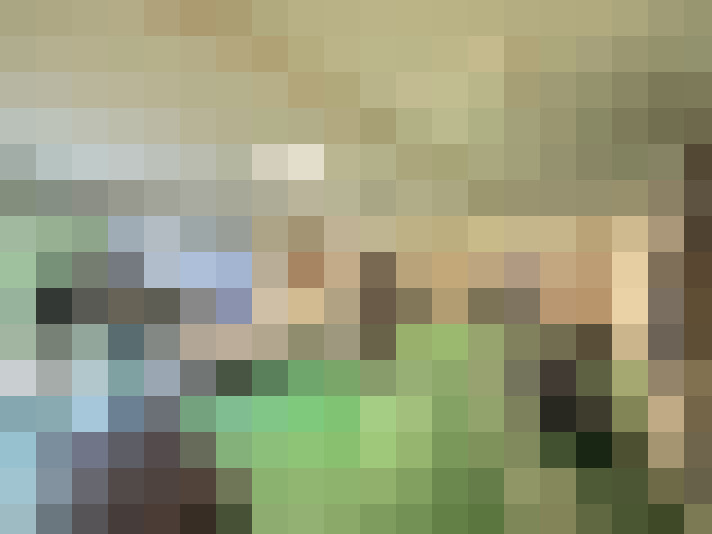  / #7