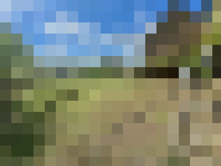  / #14