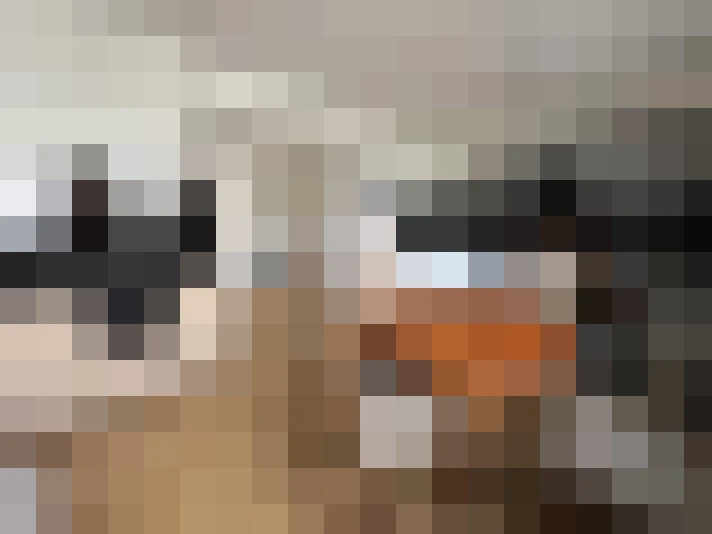  / #13