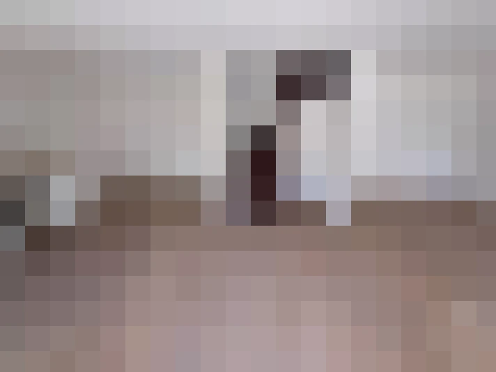  / #14