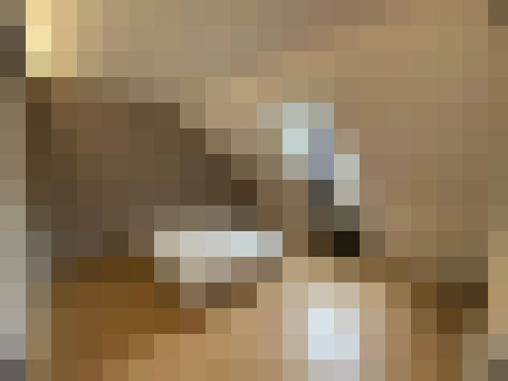  / #7