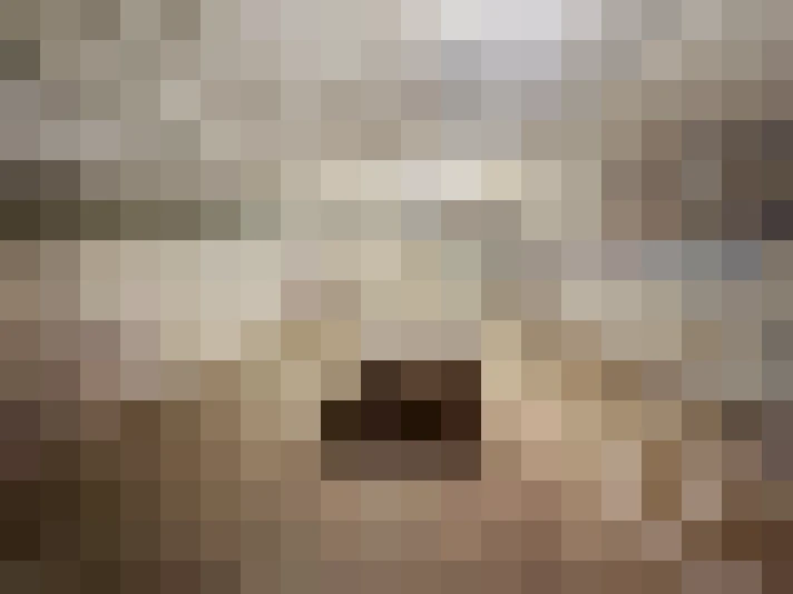  / #17