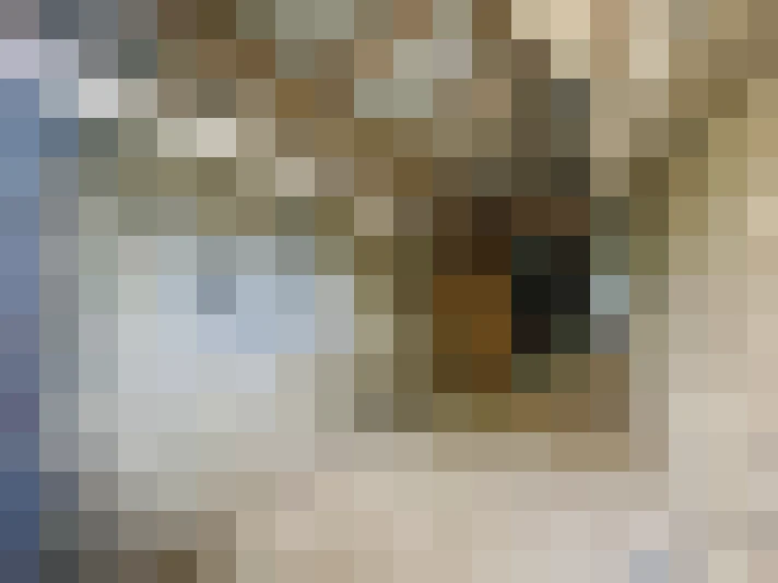  / #14