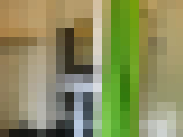  / #7