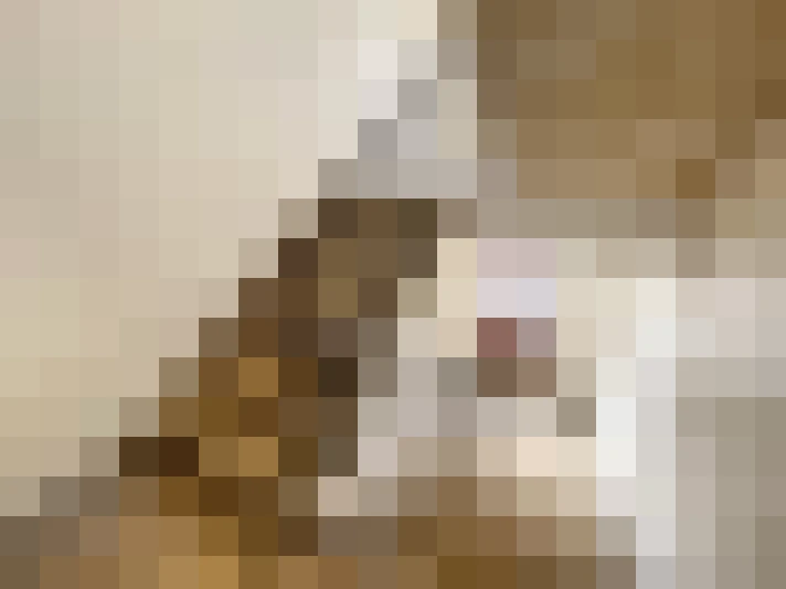  / #8