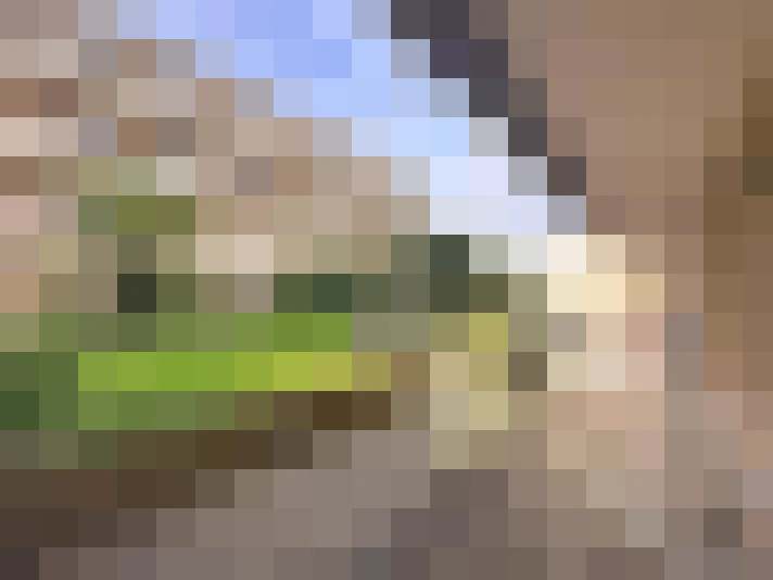  / #12