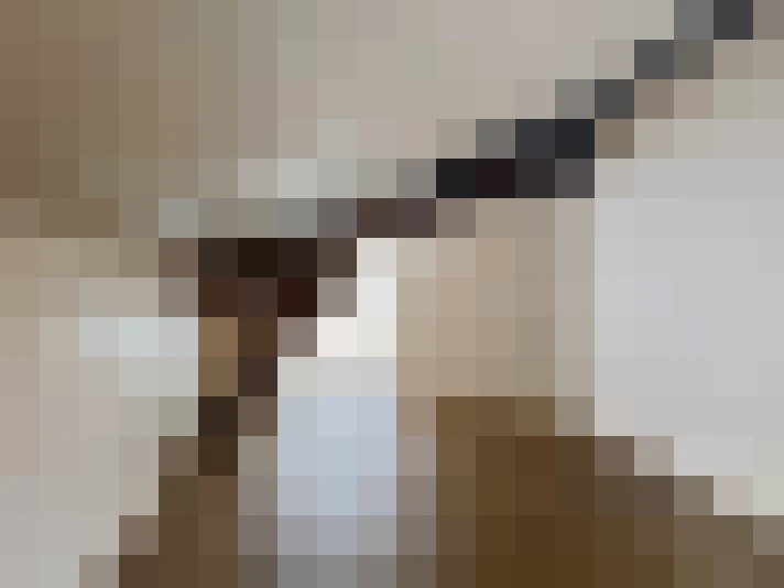  / #8