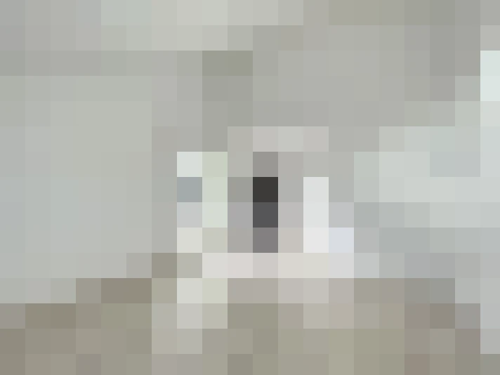  / #4