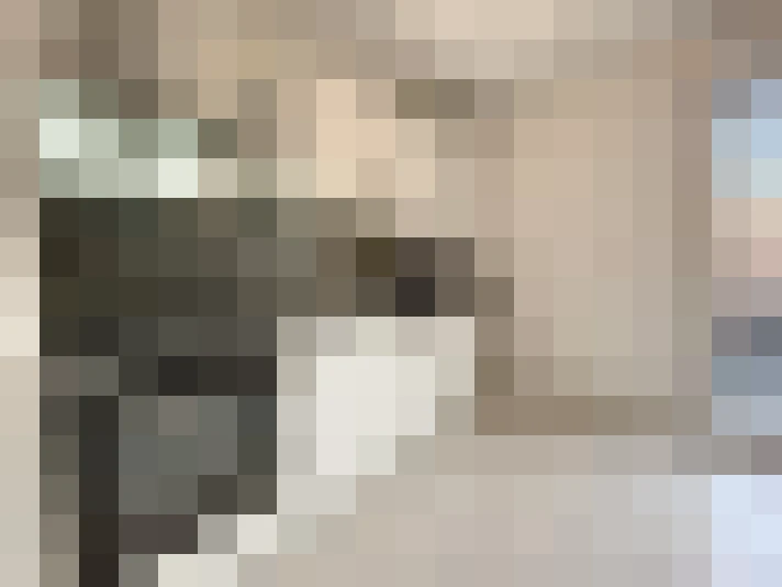  / #16