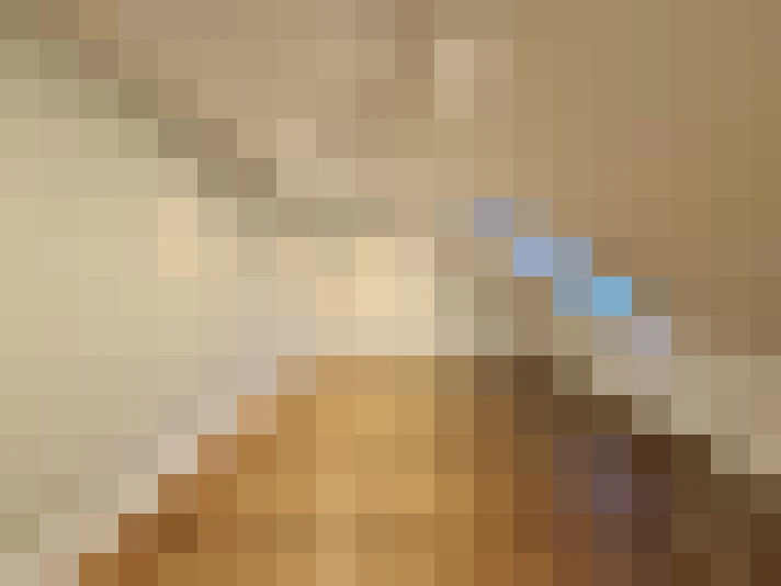  / #16