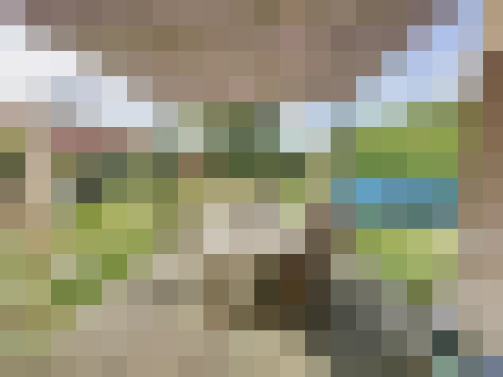  / #16
