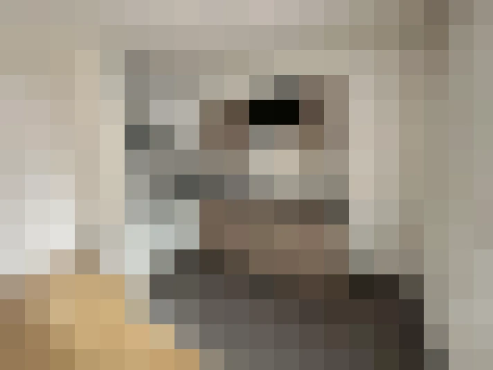  / #7
