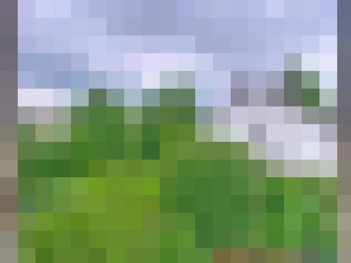  / #16