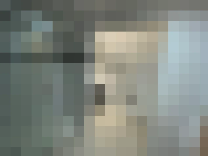  / #8