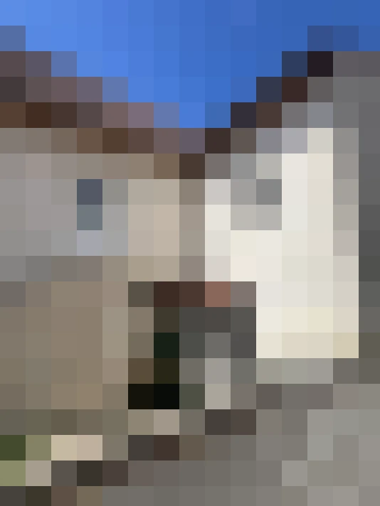  / #12