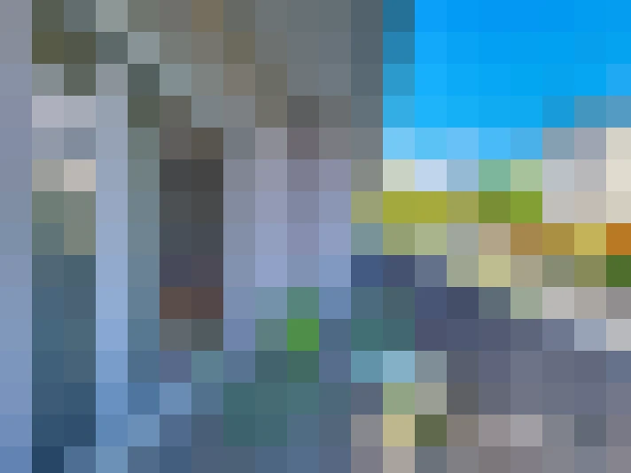  / #16