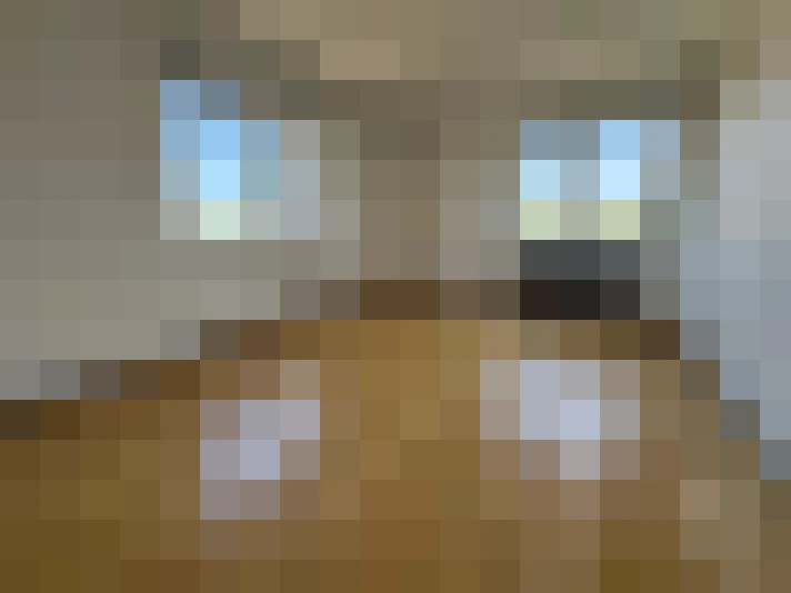  / #8