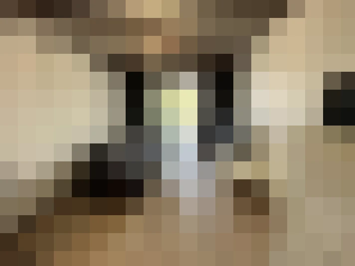 / #8