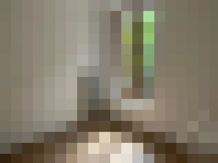  / #15