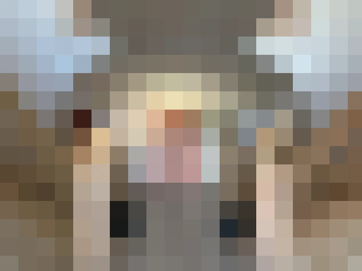  / #16