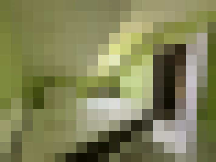  / #12