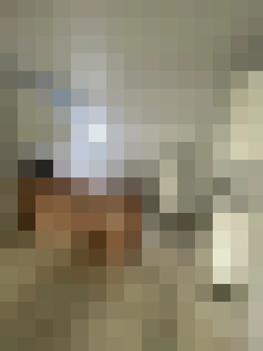  / #13