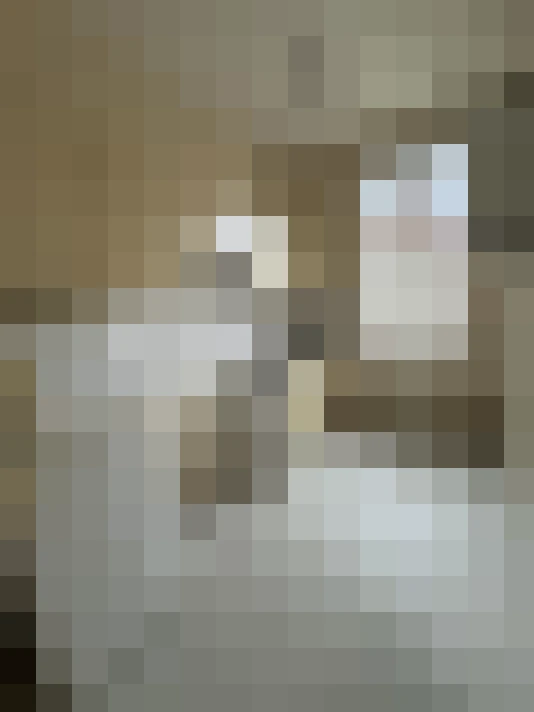  / #11