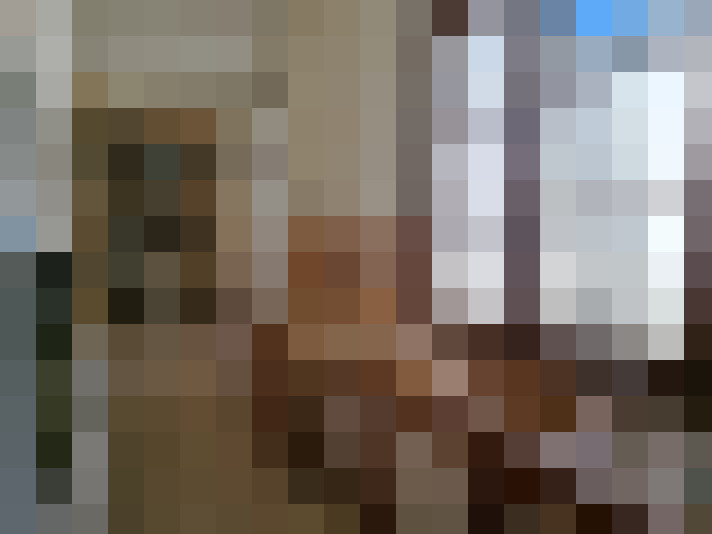  / #8