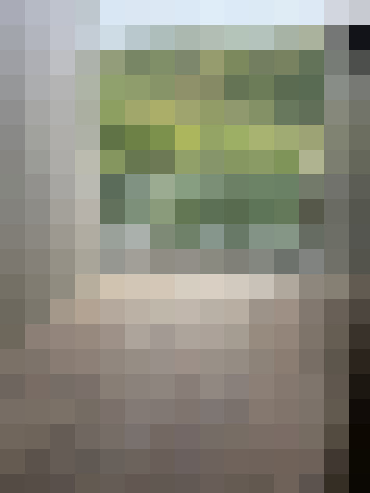  / #20