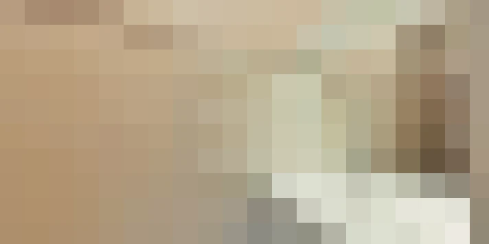  / #17