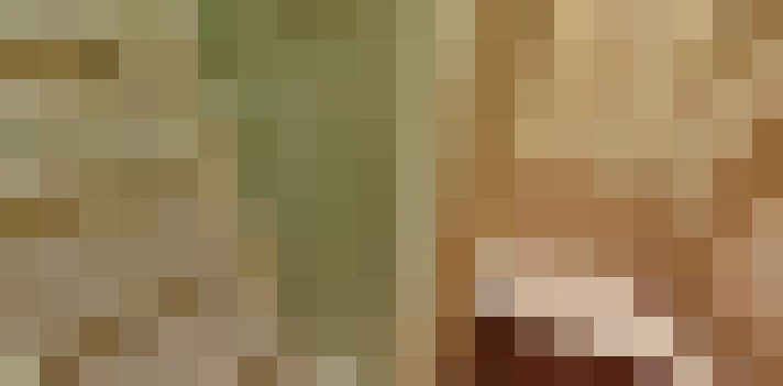  / #13