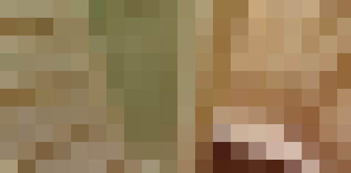  / #14