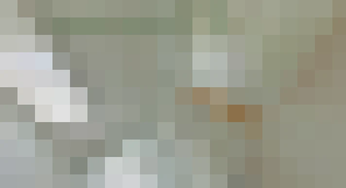  / #19