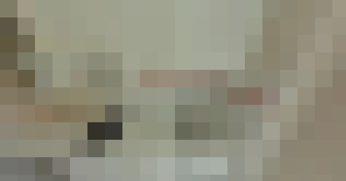  / #15