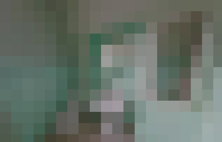  / #13