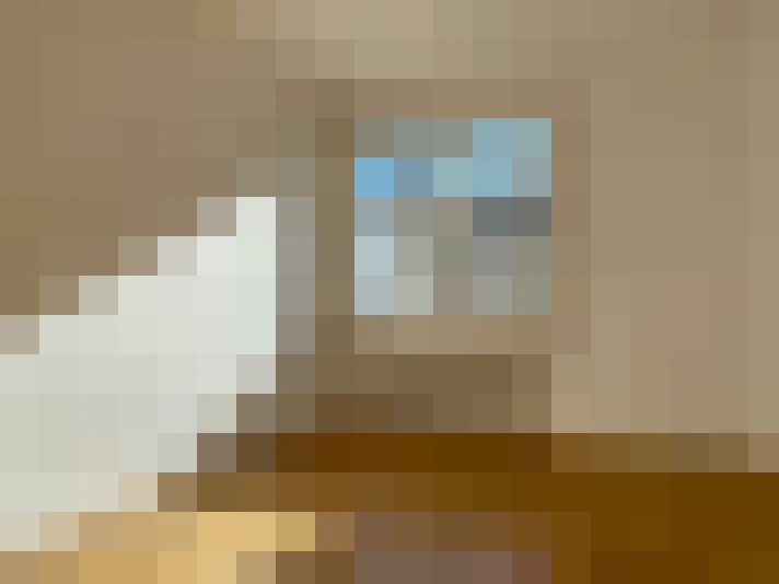  / #15
