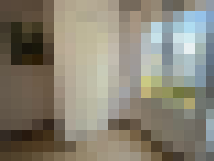 / #6