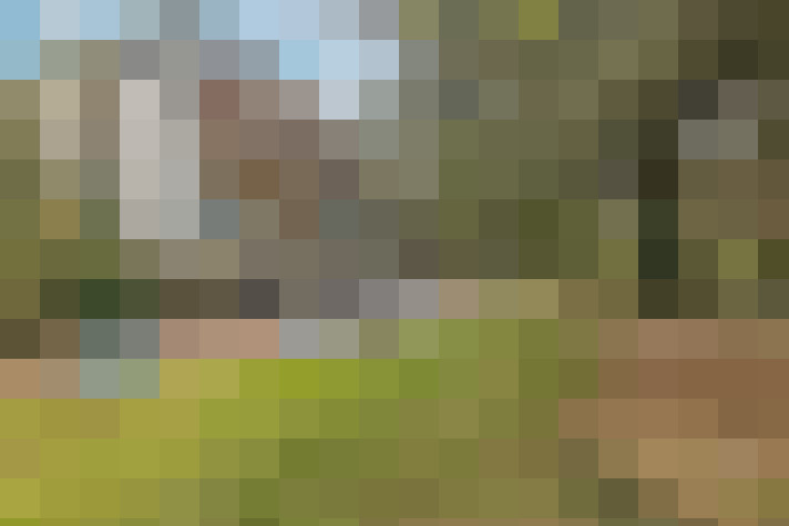  / #16
