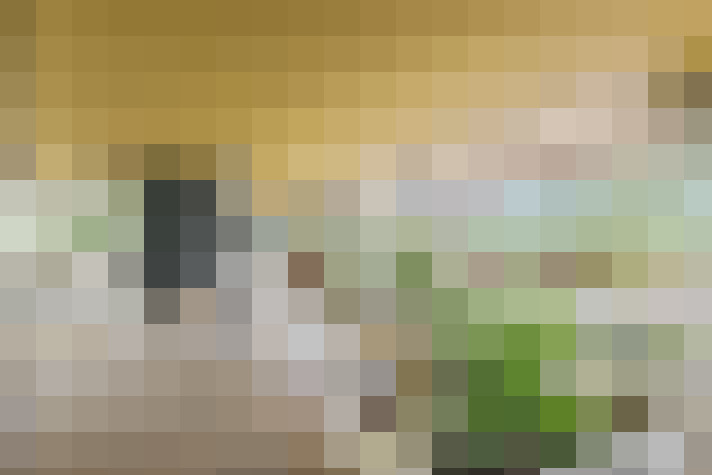  / #15