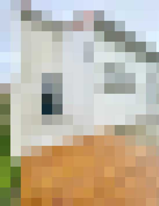  / #16