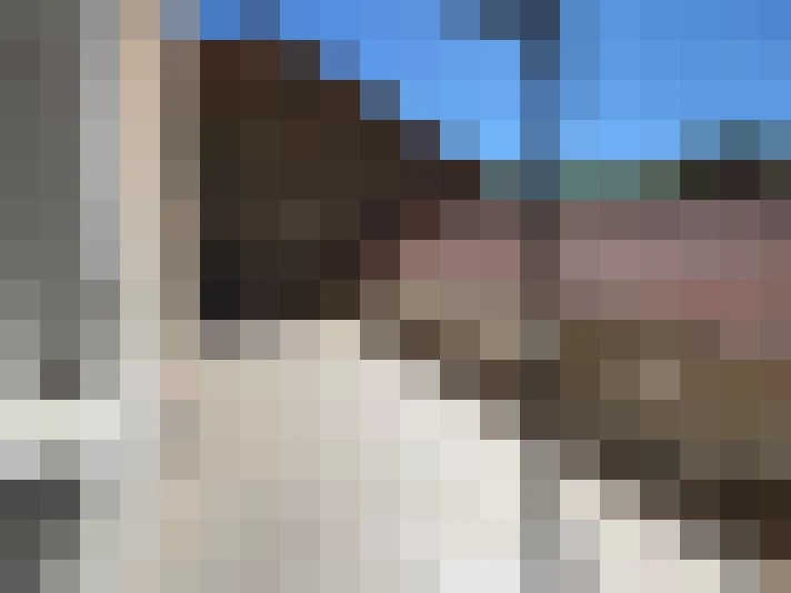  / #16