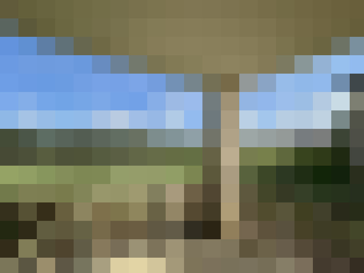  / #7