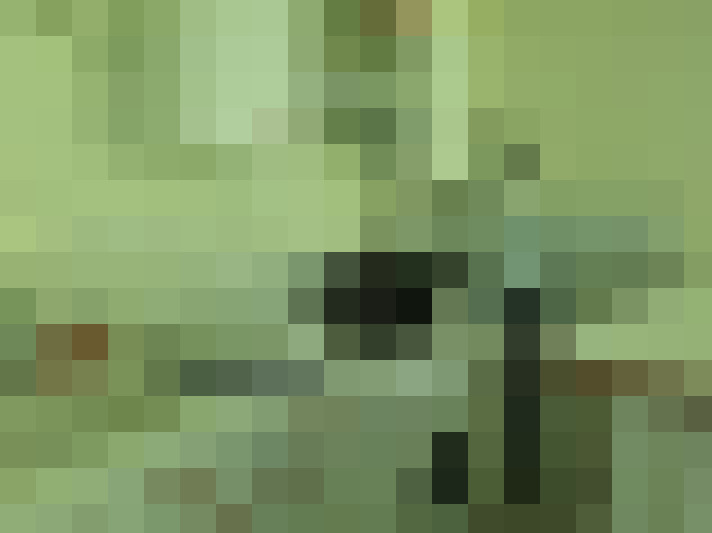  / #6