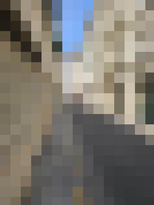  / #14