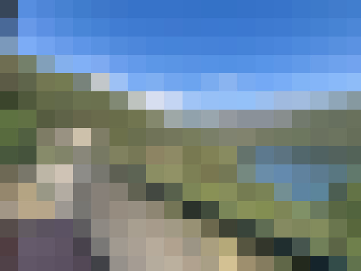  / #8