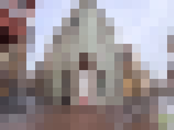  / #8