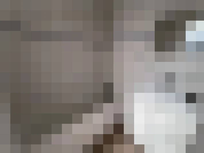  / #13