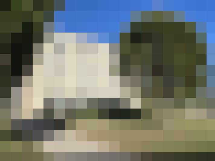  / #7
